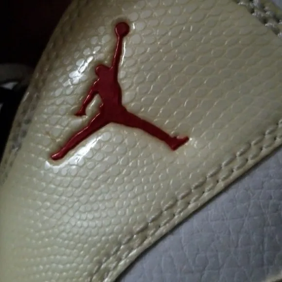2 pairs of Jordans flight