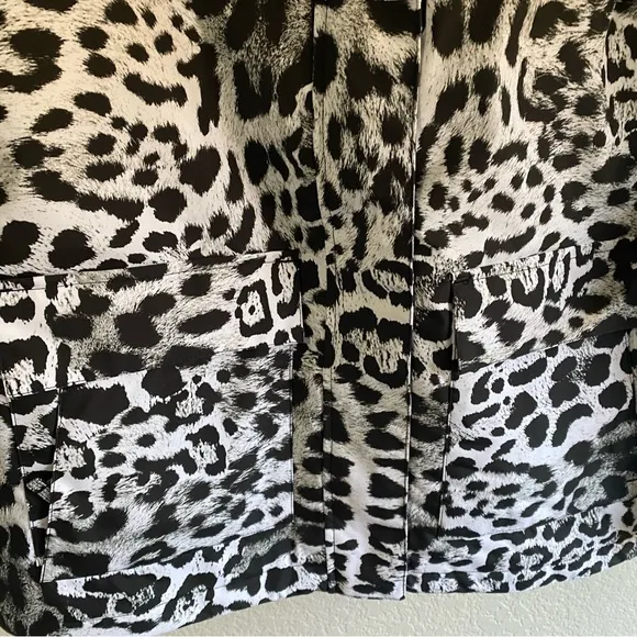 DC Shoes Cruiser Functional Snow Jacket for Women in snow leopard