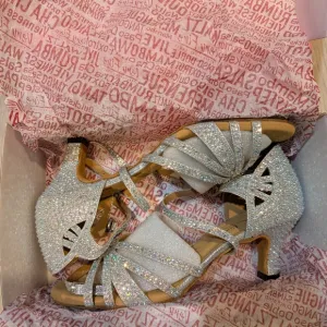 Elegant Silver Glitter Dance Shoes