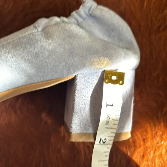 Everlane The Day Heel Blue Suede Italian Leather Shoes Size 8