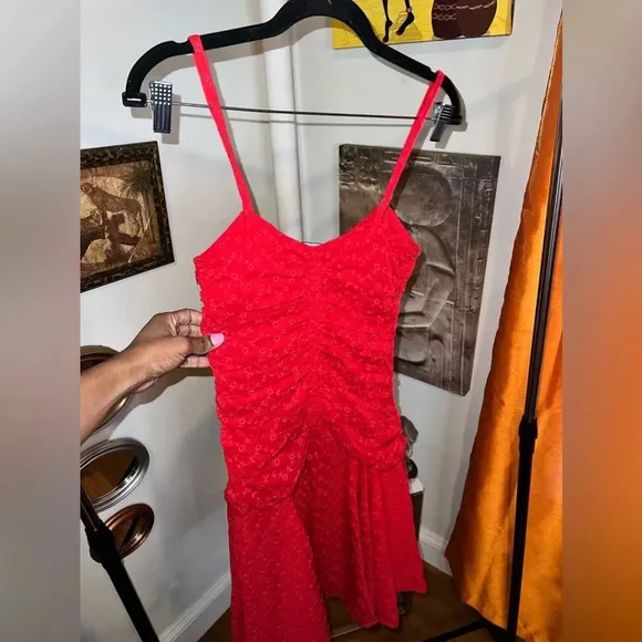 Jill Jill Stuart Ruffle Dress size 2