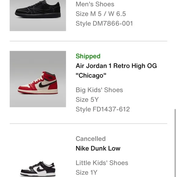 Jordan 1 Lost and Found 5Y