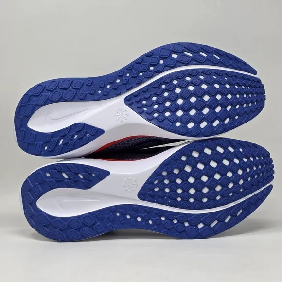 Nike Air Zoom Pegasus 41 Florida Gators Running Shoes Mens Sz 9.5 FZ5113-400 New