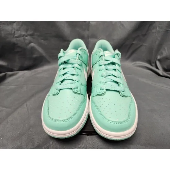 Nike Boys Dunk Low (GS) Sneakers Emerald Rise Edition Size 6 NEW NO BOX!