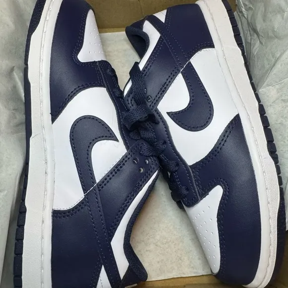 NIKE DUNK LOW RETRO CASUAL SHOES kids