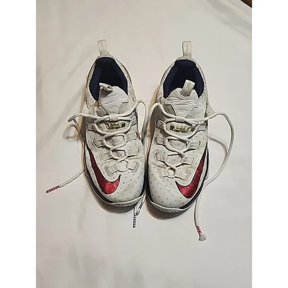Nike Lebron James XIII Basketball Shoes Men 10 - 2016 Low Olympic 831925-164 M43