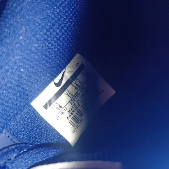 Nike Royal Blue and White Athletic Shoes