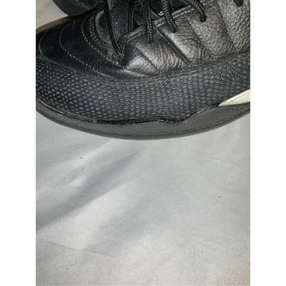 Nike Air Jordan 12 XII The Master Size 10 Black Metallic Gold