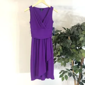 NWT Purple Chaps Dress