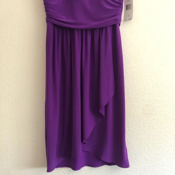 NWT Purple Chaps Dress